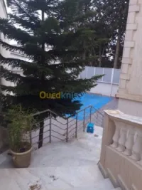 Location Villa Alger El biar