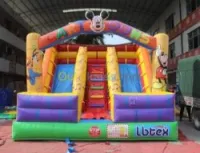 Toboggan et trampoline 
