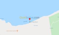 الخارج-تونس-الجزائر-أرض-byaa-ard-tons
