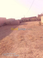 tebessa-boulhaf-dir-algerie-niveau-de-villa-vente-f3