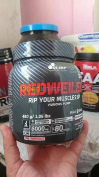 الجزائر-بلوزداد-لياقة-بدنية-و-كمال-أجسام-redwiller
