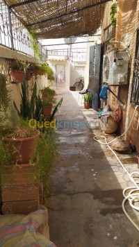 الأغواط-الجزائر-عمارة-byaa-aamar-alaghoat