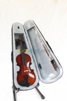 violon-14-el-biar-alger-algerie