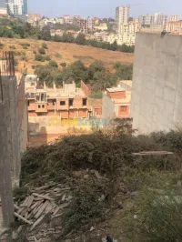 Vente Terrain Alger Saoula