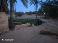 Vente Terrain Ghardaia Bounoura