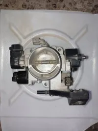papion ta3 406 ess