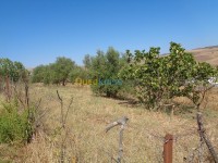 تيزي-وزو-واضية-الجزائر-أرض-byaa-ard-tyzy-ozo-oady