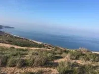 Vente Terrain Tlemcen Msirda fouaga