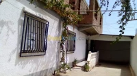 Vente Terrain Ain defla Miliana