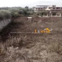 Vente Terrain Boumerdes Hammedi