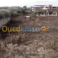 بومرداس-حمادي-الجزائر-أرض-byaa-ard-bomrdas-hmady