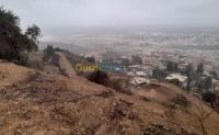 البليدة-بوعرفة-الجزائر-أرض-byaa-ard-alblyd-boaarf