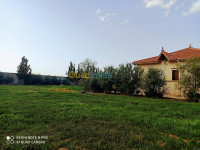 terrain-agricole-vente-batna-seriana-algerie