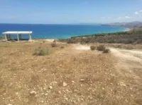 Vente Terrain Tlemcen Msirda fouaga
