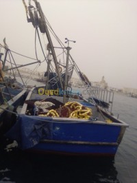 الجزائر-وسط-قارب-زورق-polistere-2005