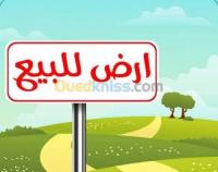 blida-larbaa-algerie-terrain-vente