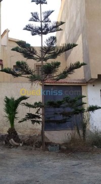 وهران-بئر-الجير-الجزائر-فيلا-byaa-fyla-ohran-ber-aljyr