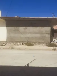 Vente bien immobilier Tlemcen Ain nehala