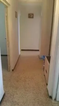 Vente Appartement F3 Tipaza Messelmoun