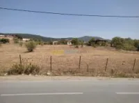 Vente Terrain Tizi ouzou Aghrib