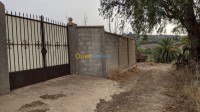 بومرداس-قورصو-الجزائر-فيلا-byaa-fyla-bomrdas-korso