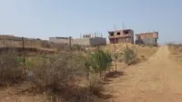 Vente Terrain Blida Bouinan