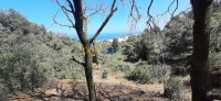 أرض-بيع-الجزائر-رايس-حميدو