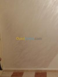 الجزائر-القبة-بناء-و-أشغال-peintre
