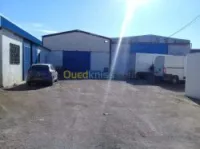 Location Hangar Sidi bel abbes Sidi bel abbes