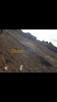 Vente Terrain Ain temouchent Beni saf