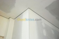الجزائر-وسط-بناء-و-أشغال-placo-plattre-plyag