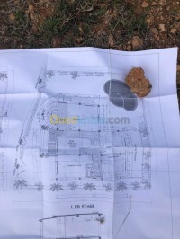 تلمسان-مرسى-بن-مهيدي-الجزائر-أرض-byaa-ard-tlmsan-mrs-bn-mhydy