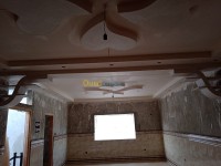 الجزائر-زرالدة-بناء-و-أشغال-plâtre