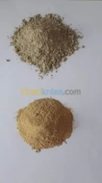 carbonate de calcium