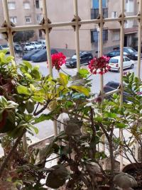 الجزائر-برج-البحري-شقة-byaa-shk-4-ghrf-aljzaer-brj-albhry