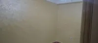 Peintre professionnel 
