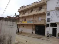 Vente Villa Alger Birtouta