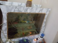alger-centre-algerie-accessoire-pour-animaux-aquarium