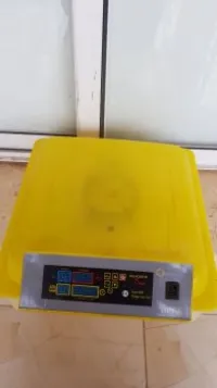 Couveuse oeuf automatique 