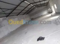 Location Hangar Tiaret Tiaret