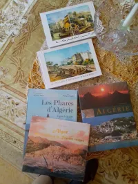 livres les phares d'Algerie vigies de la cote  Algerie Heritage et decouverte   Alger des origines 