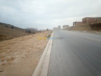 أرض-بيع-الجزائر-زرالدة