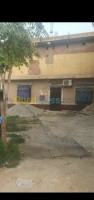 oum-el-bouaghi-meskiana-algerie-appartement-vente-f3