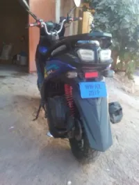 Tmmp E52 2019