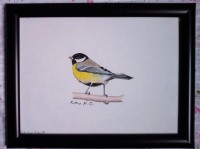 ديكورات-و-ترتيب-tableaux-doiseaux-الجزائر-وسط