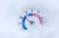 Location bien immobilier Djelfa Djelfa