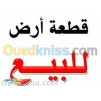المدية-الجزائر-أرض-byaa-ard-almdy