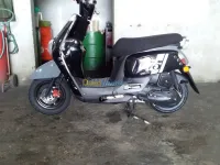Vms Coux(vms)2019 