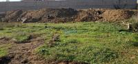 بومرداس-أولاد-موسى-الجزائر-أرض-byaa-ard-bomrdas-aolad-mos