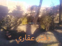 بسكرة-الجزائر-أرض-byaa-ard-bskr